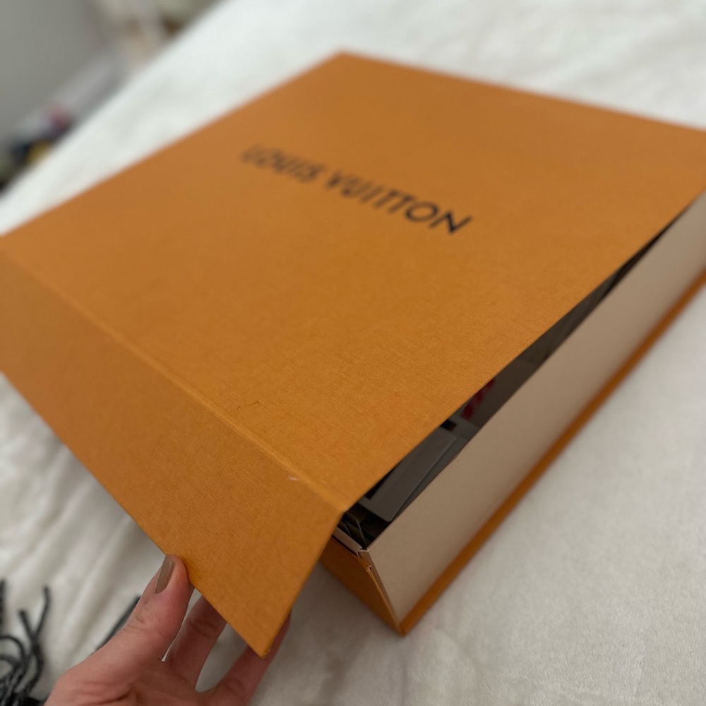 Louis Vuitton Reykjavik Scarf